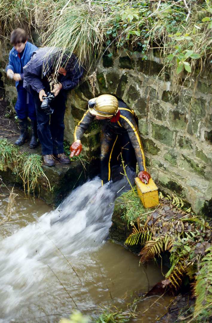 Emerging from Yatestoop sough 1986